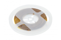 LED TRAKA COB 12V,1600LED