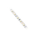 LED FLASH 2835, 12V, 60LED/m, 6W/m, NB, IP20, 50m, 8mm