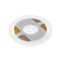 LED COB 24V,480LED/m, HB, 10W/m, 8mm, IP20, 6500K, 5m